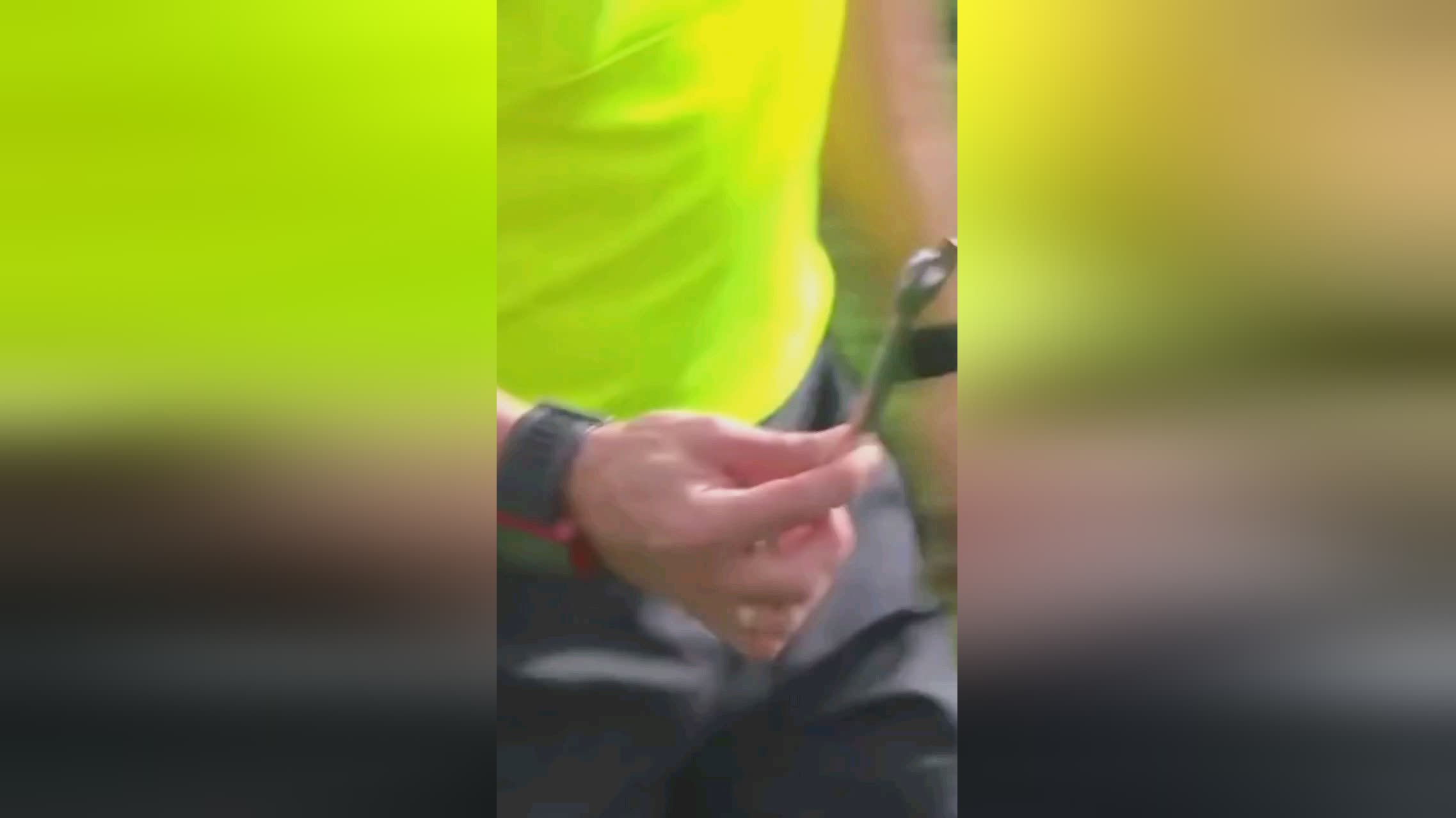 影响